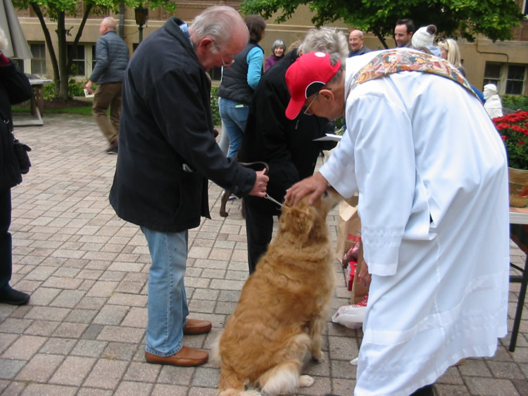 PetBlessing2015-29