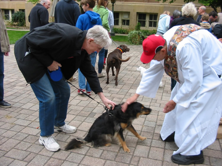 PetBlessing2015-32