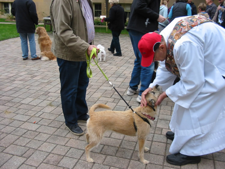 PetBlessing2015-33