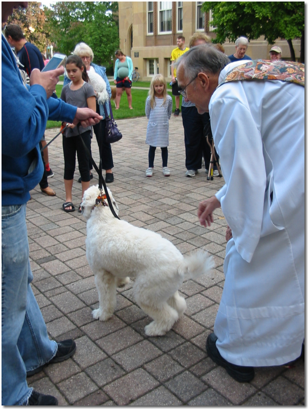 petblessing2016-26